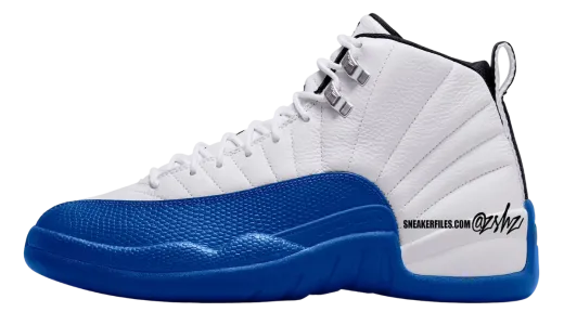 air jordan 12 blueberry