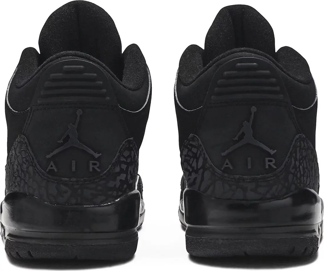 Air Jordan 3 Black Cat 2024 1