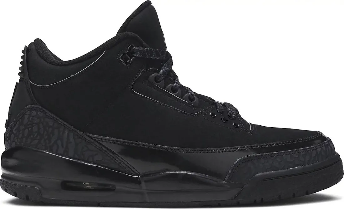 Air Jordan 3 Black Cat 2024 2024