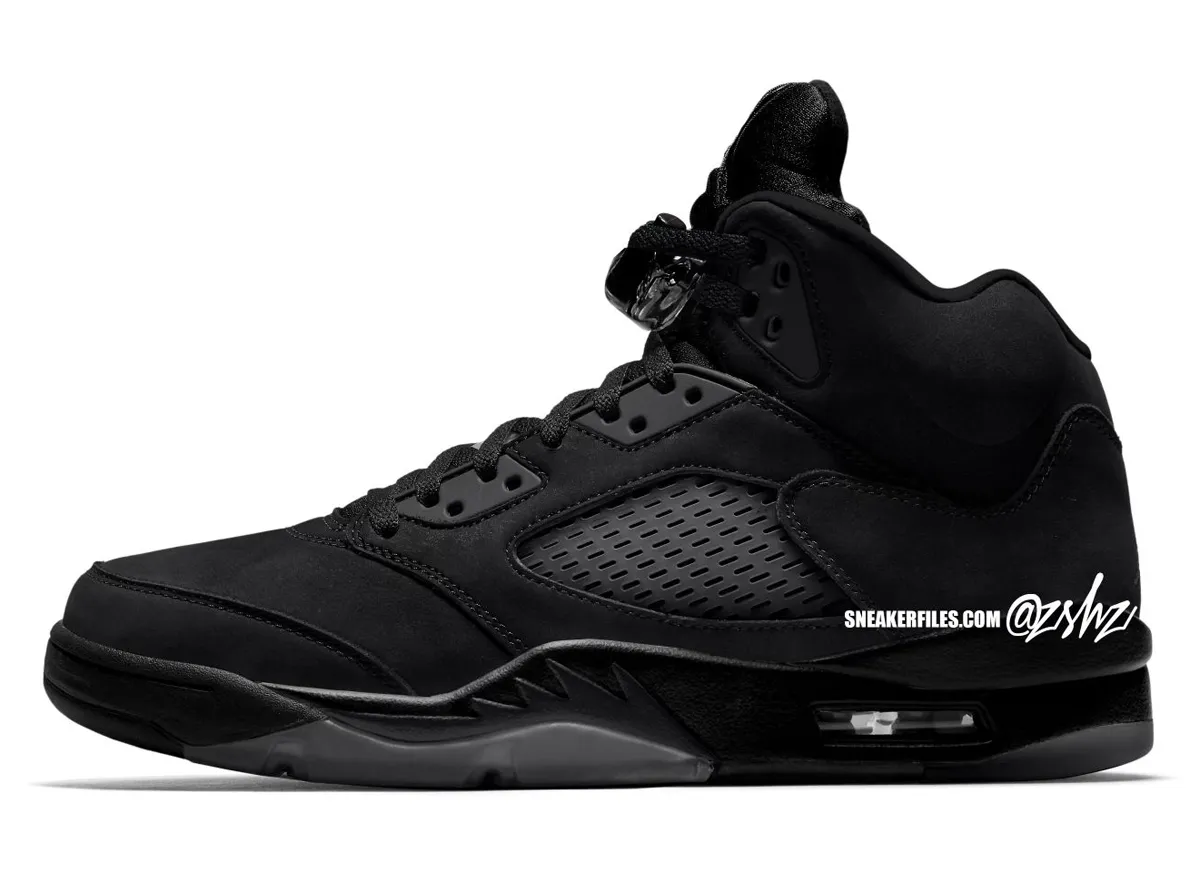 Air Jordan 5 Black Cat cat