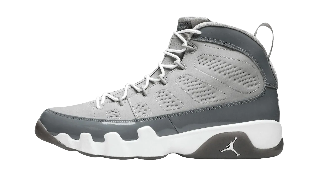 Air Jordan 9 Cool Grey 1