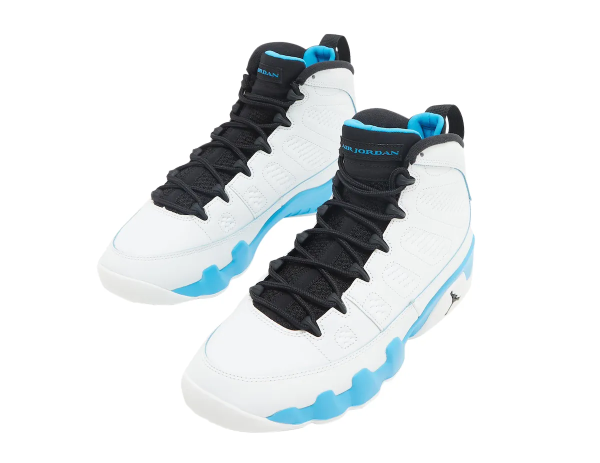 Air Jordan 9 Powder Blue 2024 1