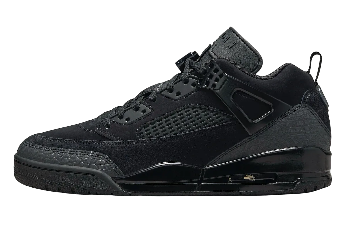 Jordan Spizike Low Black Cat cat