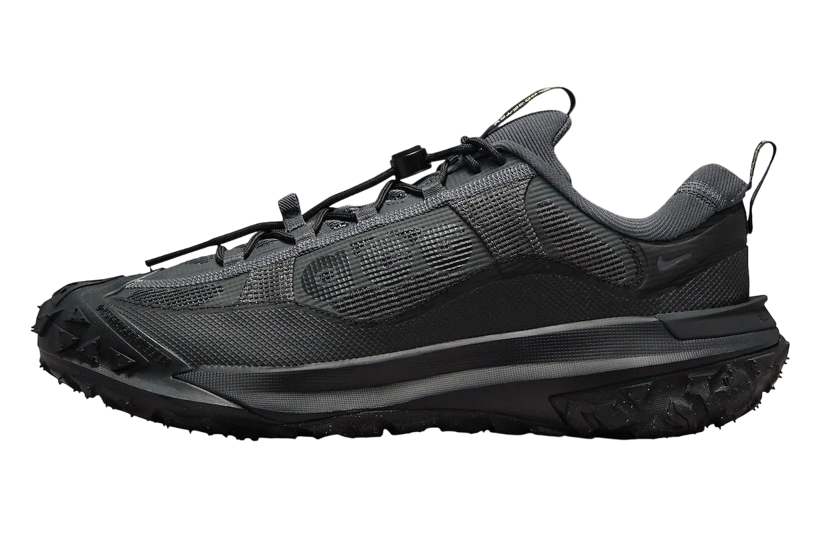 Nike ACG Mountain Fly 2 Low Dark Smoke Grey grey