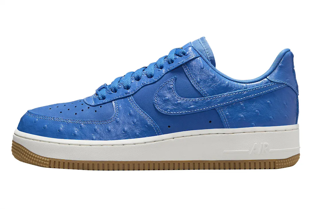 Nike Air Force 1 Low Blue Ostrich ostrich