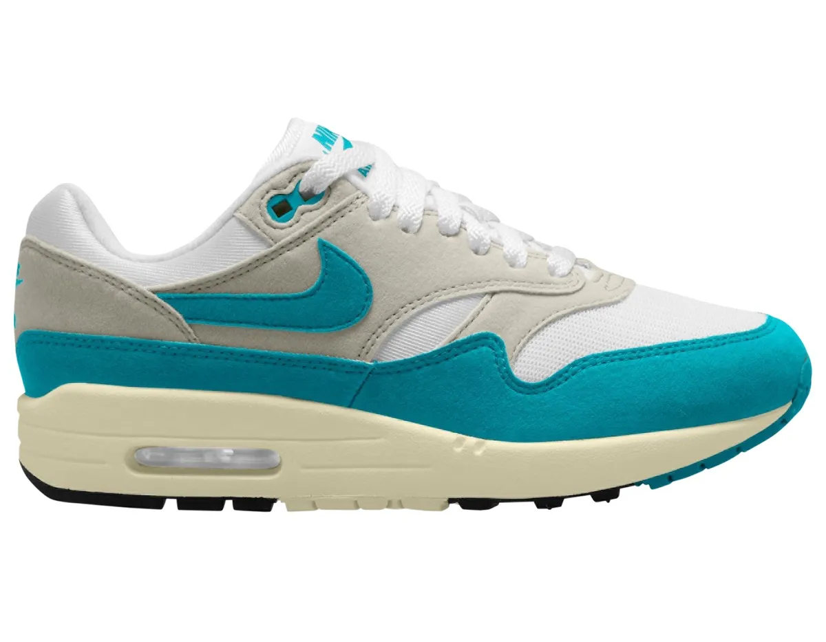 Nike Air Max 1 WMNS Dusty Cactus cactus