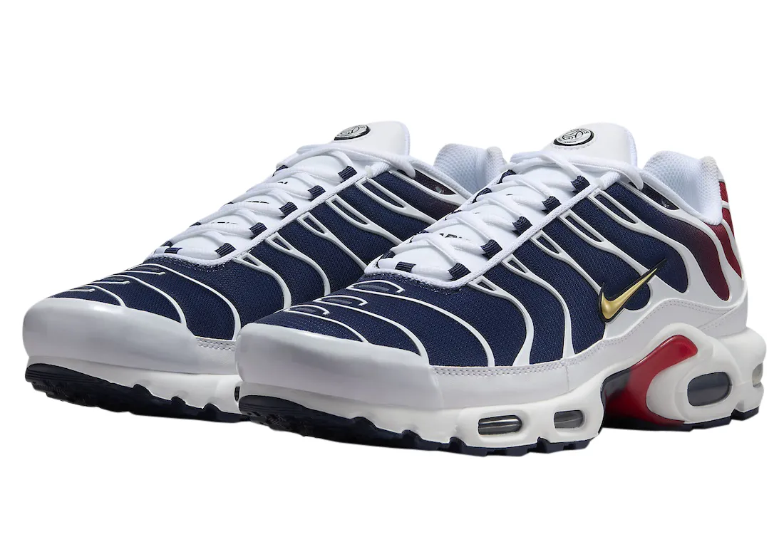 Nike Air Max Plus PSG 0