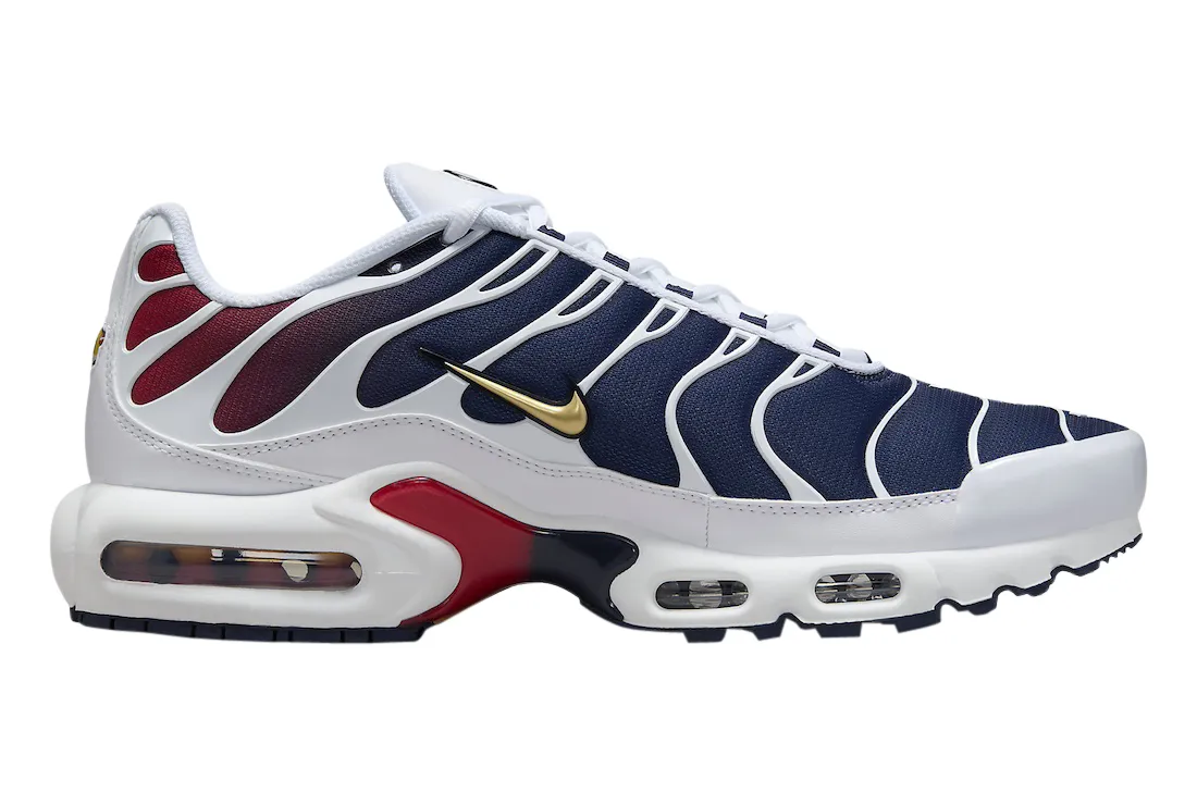 Nike Air Max Plus PSG 1