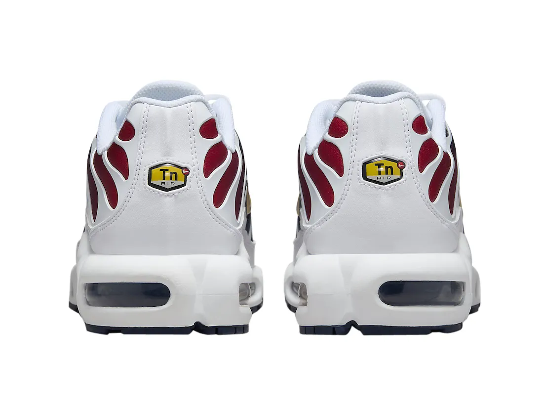 Nike Air Max Plus PSG 3