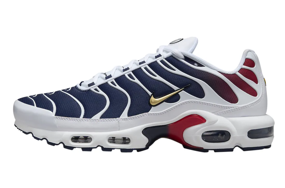 Nike Air Max Plus PSG psg