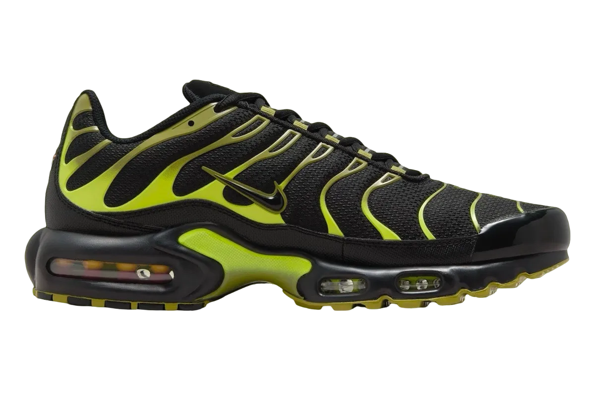 Nike Air Max Plus Pacific Moss 1