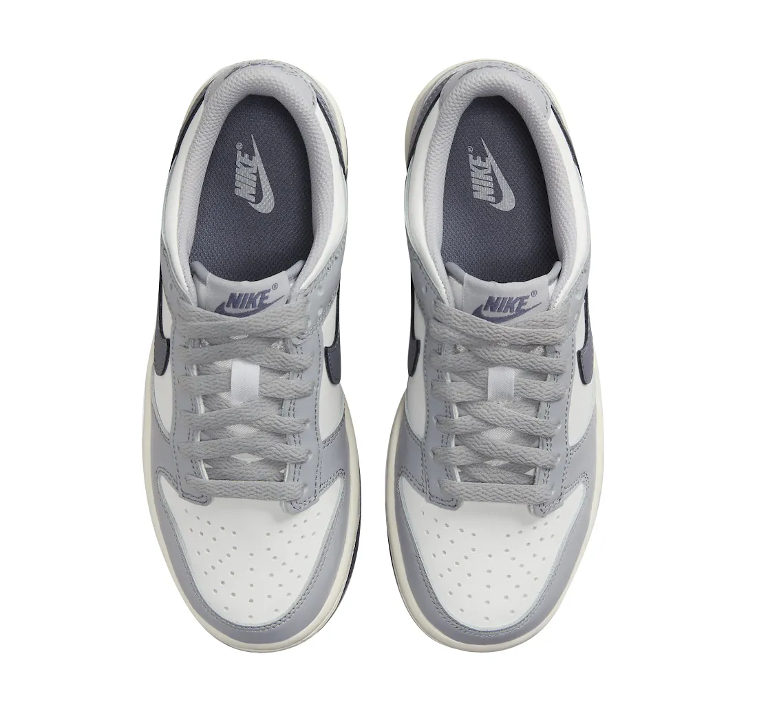 Nike Dunk Low GS Platinum Tint 2