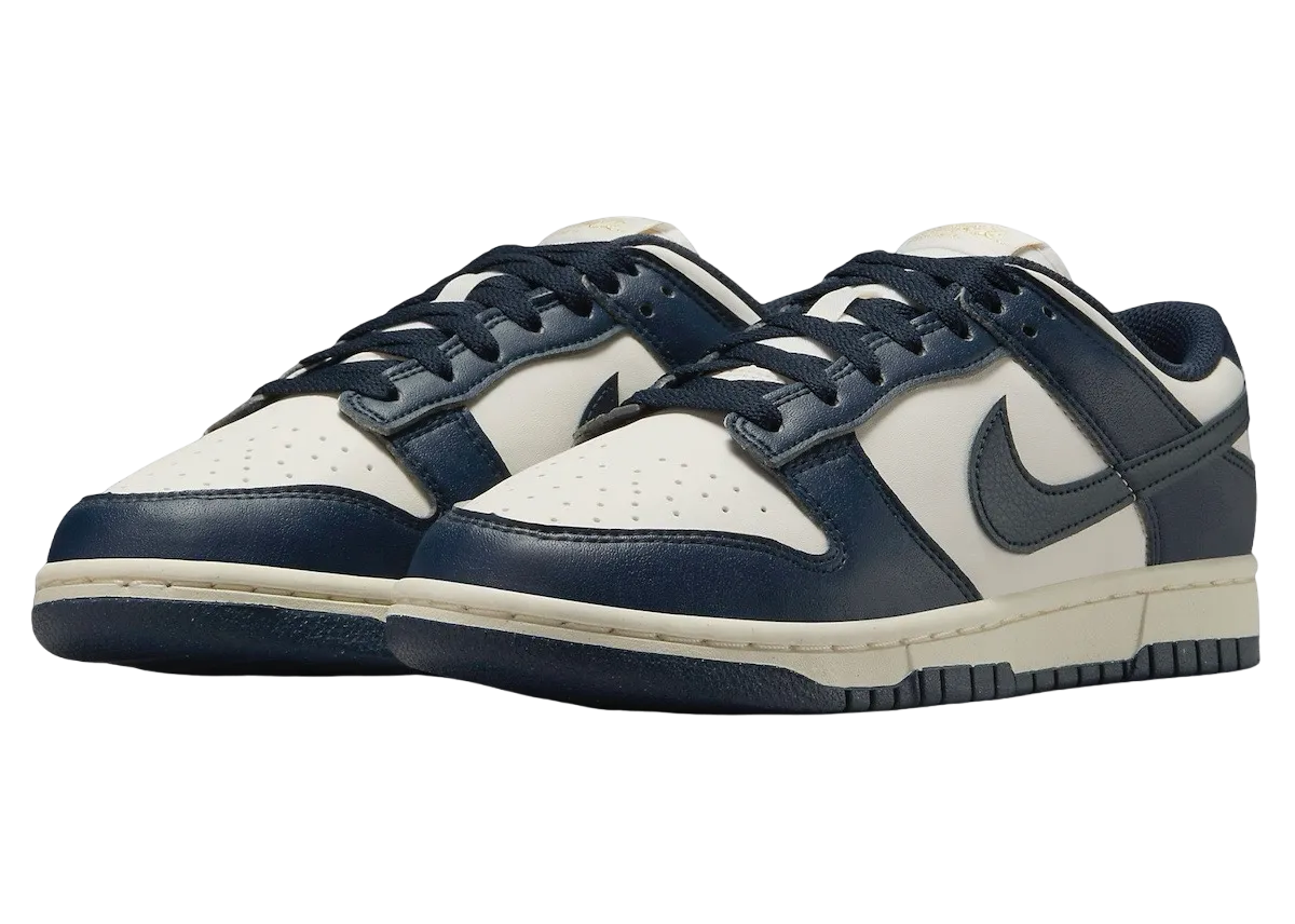 Nike Dunk Low Next Nature Olympic 0