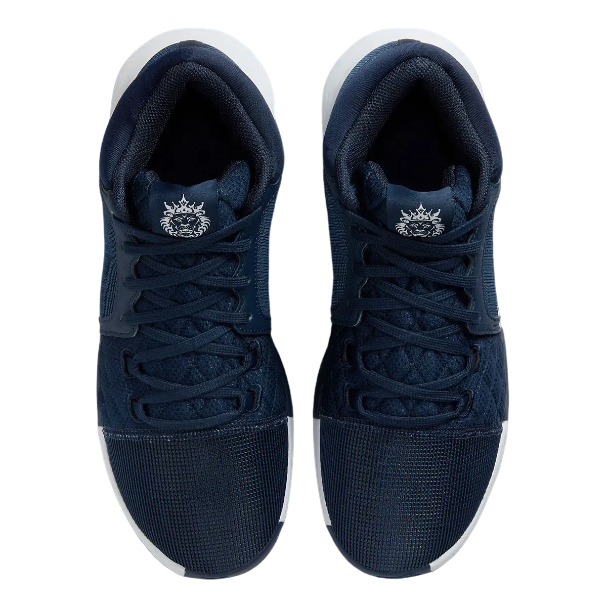 Nike LeBron 8 Witness TB Midnight Navy 2