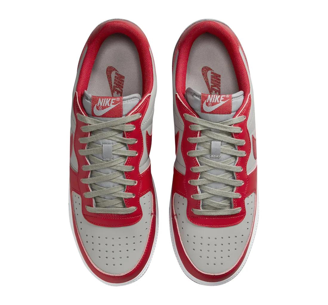 Nike Terminator Low UNLV 2