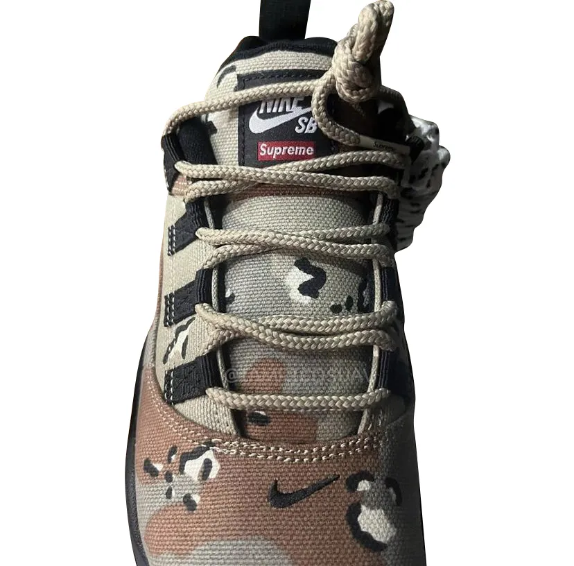 Supreme x Nike SB Darwin Low Camo 2