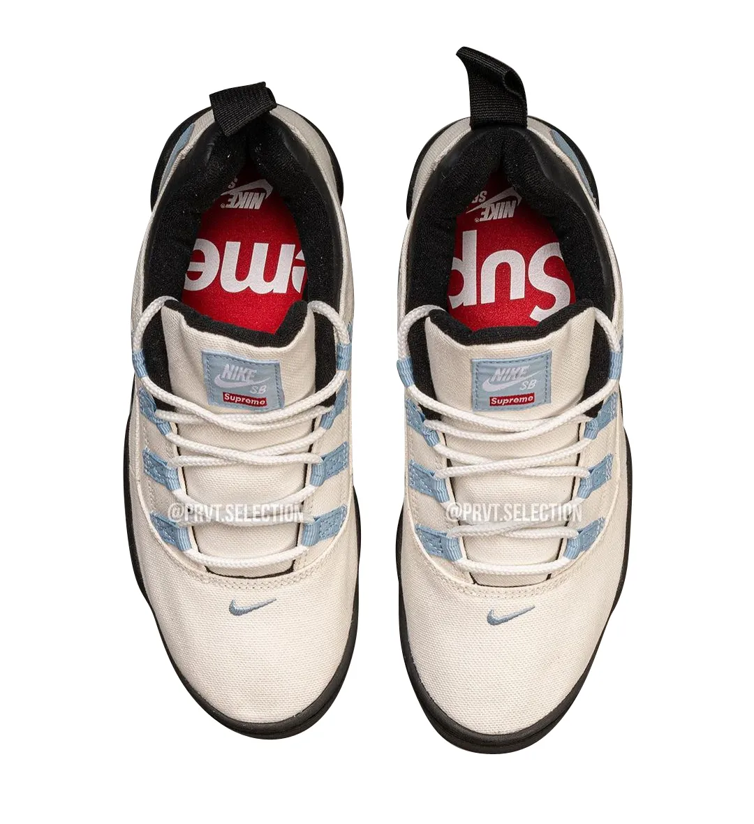 Supreme x Nike SB Darwin Low Sail 1