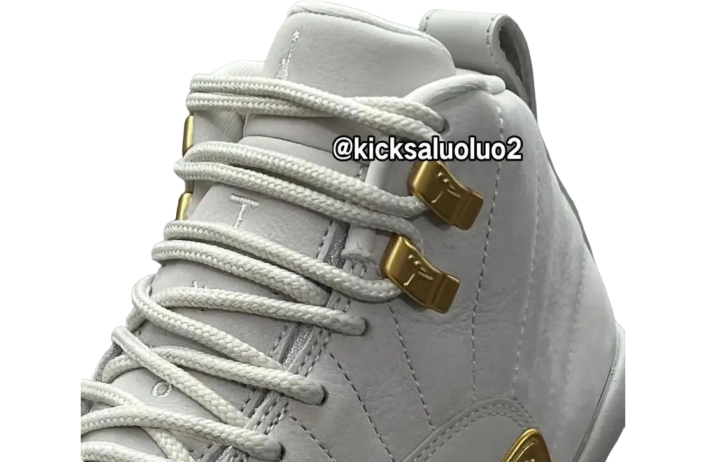 air jordan 12 wmns phantom 3