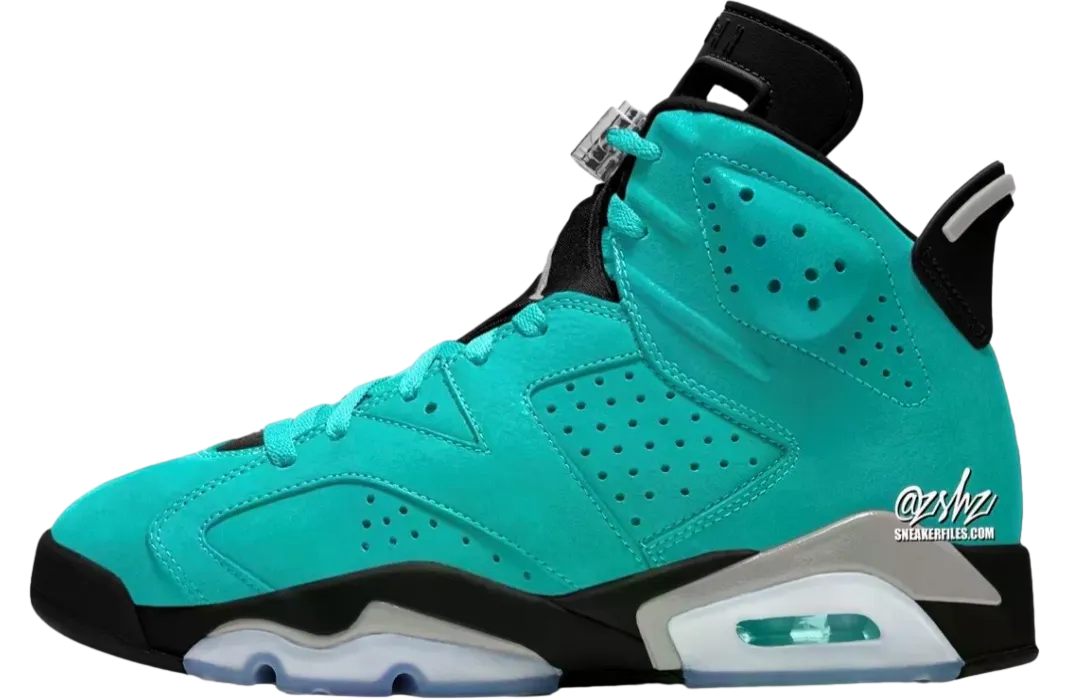 air jordan 6 light aqua multi